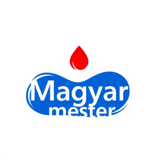 MagyarMester Logo